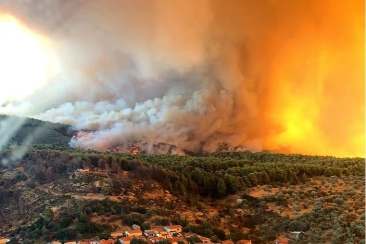 Deutsche Welle κατά κυβέρνησης: «Κάηκαν τεράστιες εκτάσεις γιατί ο Κ.Μητσοτάκης άργησε να ζητήσει βοήθεια από την Ευρώπη»